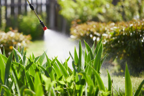 Tamper-Resistant Bait Stations for Rodents in Wesley Hills