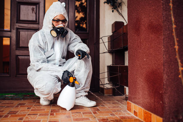 Attic and Crawl Space Rodent Treatment in Wesley Hills