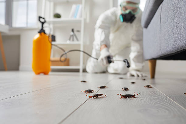Commercial Rodent Management in Wesley Hills